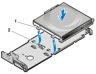 gator_15.gif (15540 bytes)
